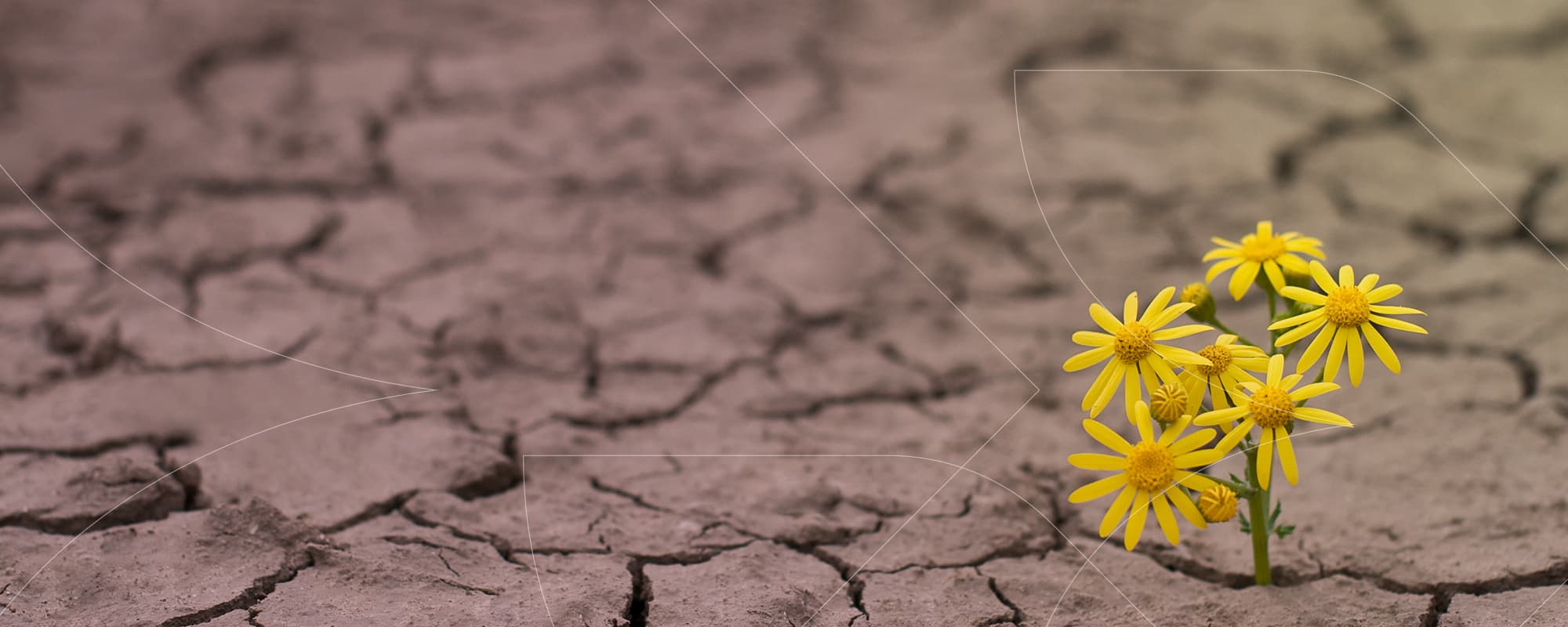 Blog Getty Images 535456192