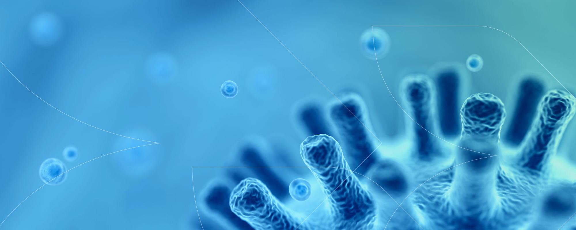 Getty Images 1061400654 scaled 1