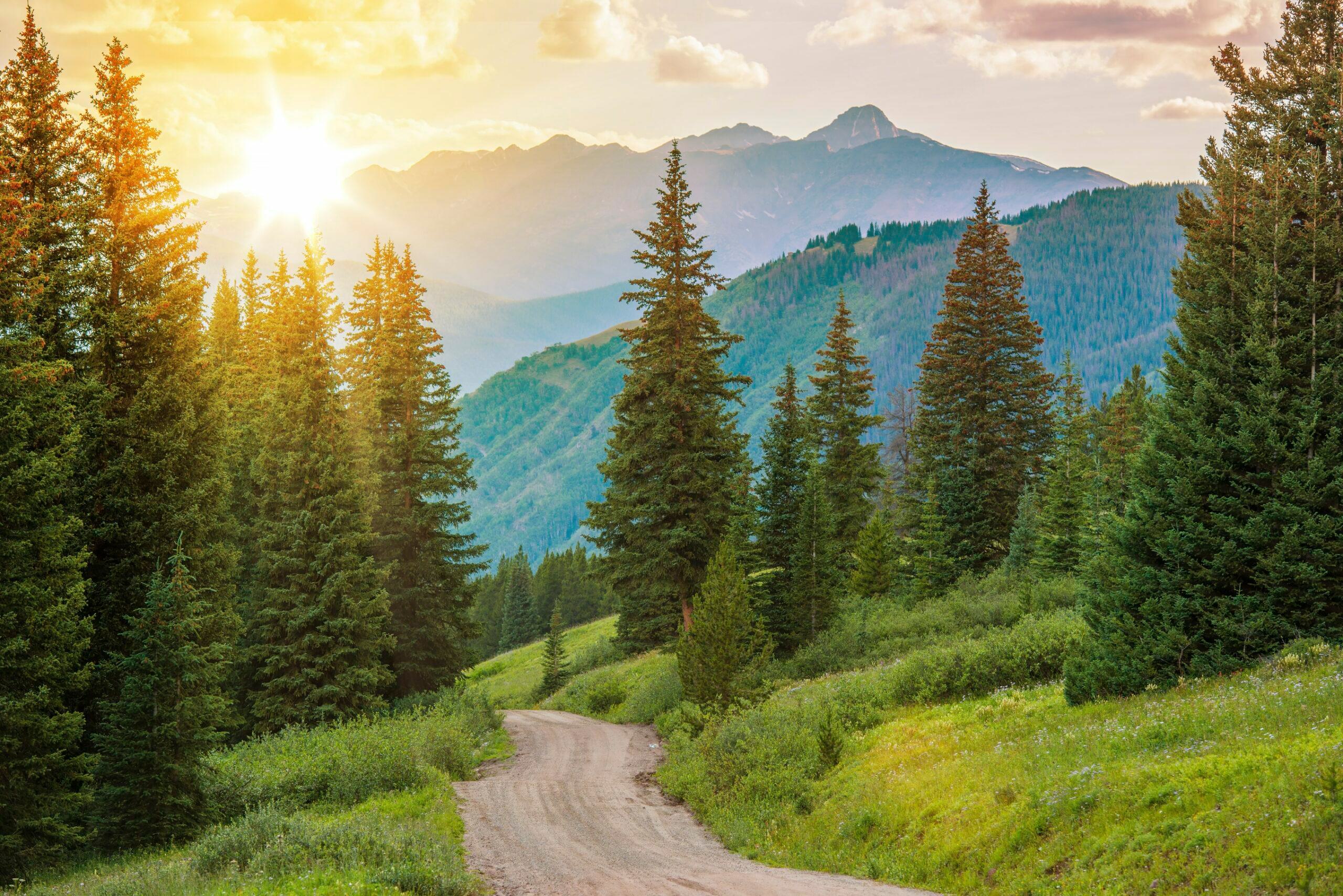 Mountain Skyline