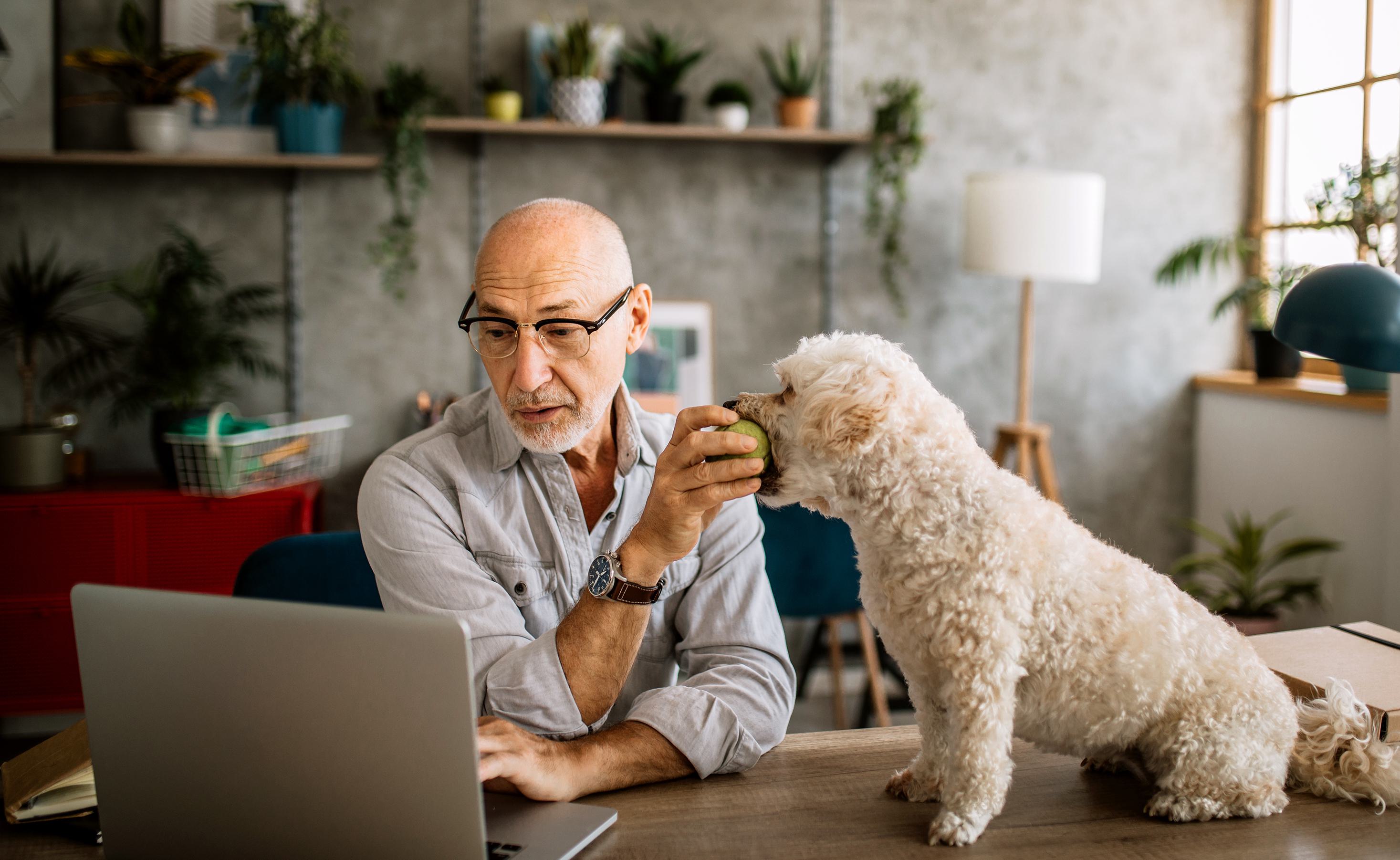 Man feeding dog