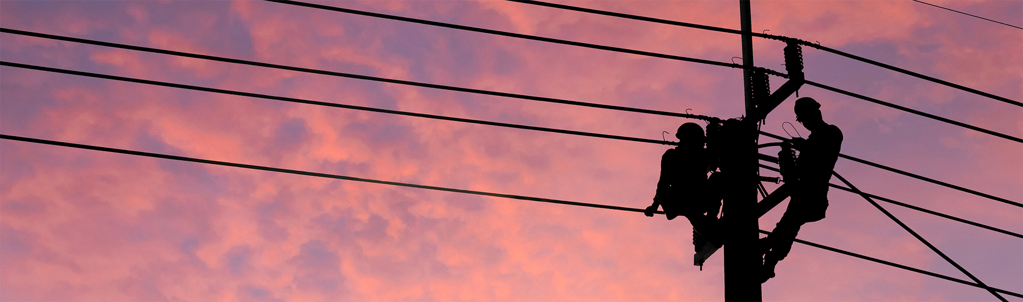 People working on electrical lines
